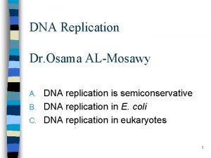 DNA Replication Dr Osama ALMosawy DNA replication is