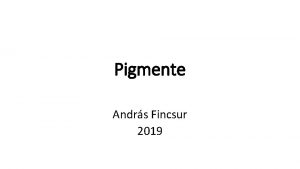 Pigmente Andrs Fincsur 2019 Aufteilung Exogene oder endogene