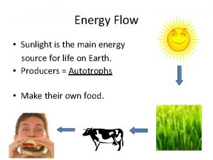 Energy Flow Sunlight is the main energy source