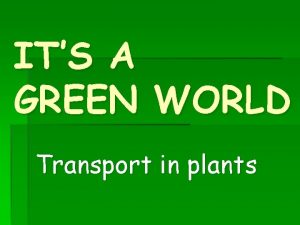 ITS A GREEN WORLD Transport in plants Starter