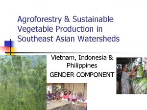 Agroforestry Sustainable Vegetable Production in Southeast Asian Watersheds