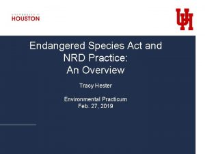 Endangered Species Act and NRD Practice An Overview