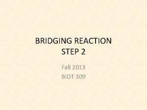 BRIDGING REACTION STEP 2 Fall 2013 BIOT 309