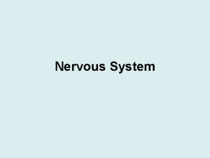 Nervous System Functions of the Nervous System Sensory