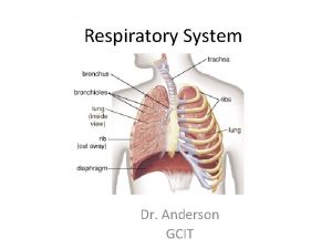 Respiratory System Dr Anderson GCIT Basic Concepts Surface