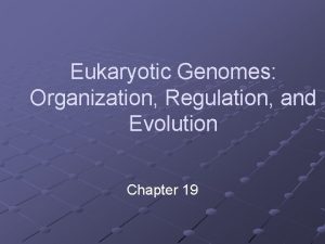 Eukaryotic Genomes Organization Regulation and Evolution Chapter 19