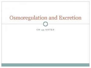 Osmoregulation and Excretion CH 44 NOTES Osmoregulation Process