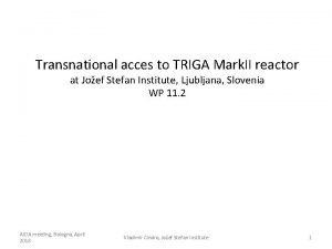 Transnational acces to TRIGA Mark II reactor at