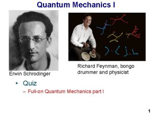 Quantum Mechanics I Erwin Schrodinger Richard Feynman bongo