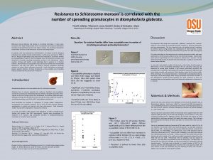 Resistance to Schistosoma mansoni is correlated with the