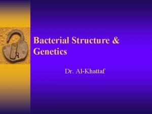 Bacterial Structure Genetics Dr AlKhattaf Definition Bacteria Is