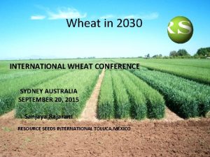 Wheat in 2030 INTERNATIONAL WHEAT CONFERENCE SYDNEY AUSTRALIA