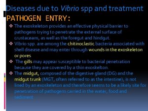 Diseases due to Vibrio spp and treatment PATHOGEN