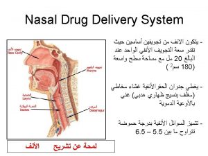Nasal Metabolism The nasal route of administration avoids