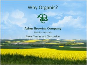 Asher brewing company