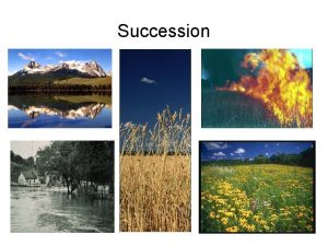 Succession Succession in Communities Succession is the process