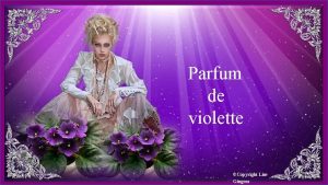 Parfum de violette Copyright Lise Gingras Petite et