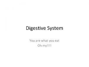 Digestive System You are what you eat Oh