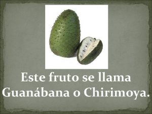 Este fruto se llama Guanbana o Chirimoya La