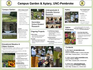 Campus Garden Apiary UNCPembroke Campus Garden Undergraduate Graduate