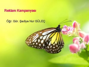 şadiye nur güleç şadiye nur güleç