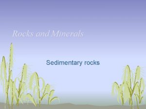 Rocks and Minerals Sedimentary rocks Sedimentary rocks Form