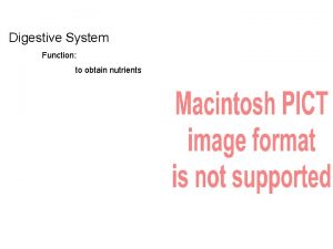 Digestive System Function to obtain nutrients Digestive System