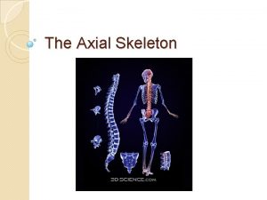 The Axial Skeleton Divisions of the Skeleton Axial