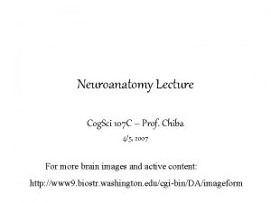 Neuroanatomy Lecture Cog Sci 107 C Prof Chiba