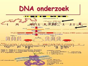 DNA onderzoek Welk type DNA onderzoek Is er