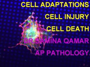 CELL ADAPTATIONS CELL INJURY CELL DEATH DR SAMINA