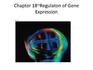 Chapter 18Regulaton of Gene Expression Control of Prokaryotic