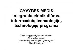 GYVYBS MEDIS Integruota etnolkutlros informacini technologij technologij programa