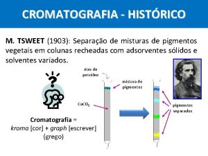 CROMATOGRAFIA HISTRICO M TSWEET 1903 Separao de misturas