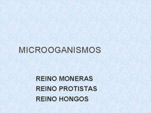 MICROOGANISMOS REINO MONERAS REINO PROTISTAS REINO HONGOS VIRUS