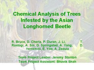 Chemical Analysis of Trees Infested by the Asian