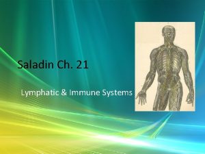 Saladin Ch 21 Lymphatic Immune Systems Lymphatic System