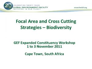 Focal Area and Cross Cutting Strategies Biodiversity GEF