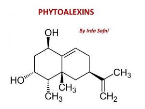 PHYTOALEXINS By Irda Safni Plant Defense Multitrophic Interactions