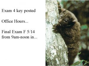 Exam 4 key posted Office Hours Final Exam