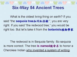SixWay 54 Ancient Trees What is the oldest