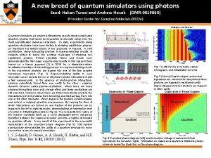 A new breed of quantum simulators using photons