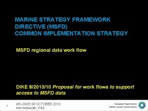 MARINE STRATEGY FRAMEWORK DIRECTIVE MSFD COMMON IMPLEMENTATION STRATEGY