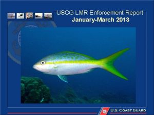 USCG LMR Enforcement Report JanuaryMarch 2013 JanuaryMarch 2013