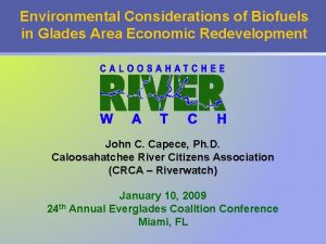 Environmental Considerations of Biofuels in Glades Area Economic