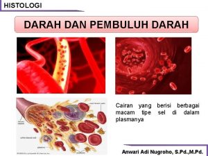 HISTOLOGI DARAH DAN PEMBULUH DARAH Cairan yang macam