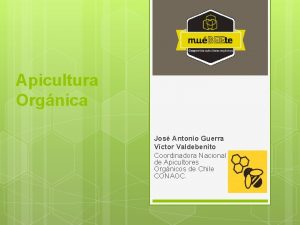 Apicultura Orgnica Jos Antonio Guerra Vctor Valdebenito Coordinadora