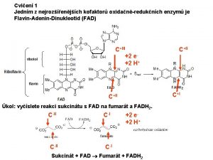 Cvien 1 Jednm z nejrozenjch kofaktor oxidanreduknch enzym