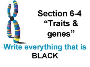 Section 6 4 Traits genes Write everything that