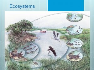 Ecosystems An ecosystem includes all of the organisms